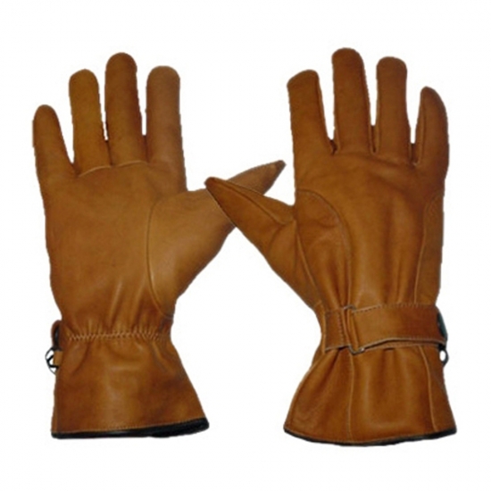 Dressing Gloves